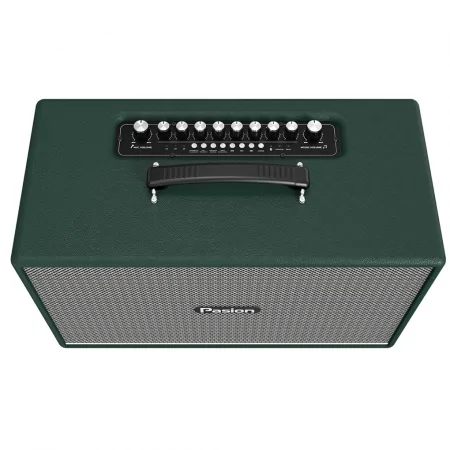 Loa Di Động Xách Tay Paramax PASION Enzo (Green Leather) 1