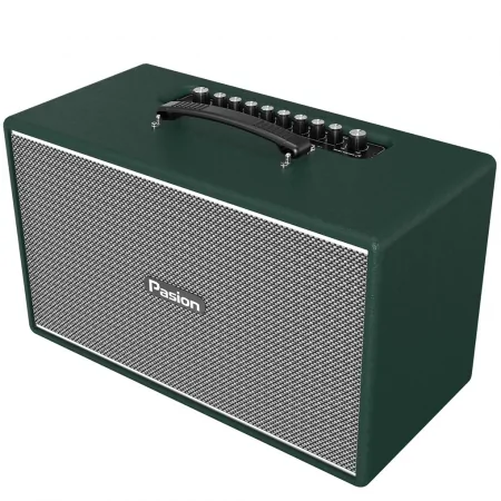 Loa Di Động Xách Tay Paramax PASION Enzo (Green Leather) 2