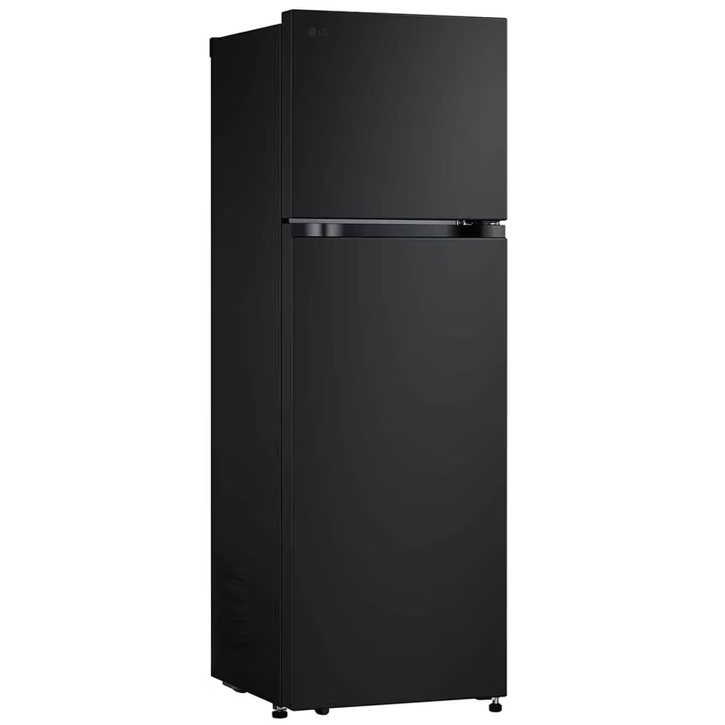 Tủ Lạnh LG Inverter 266 Lít LTB26BLM 7