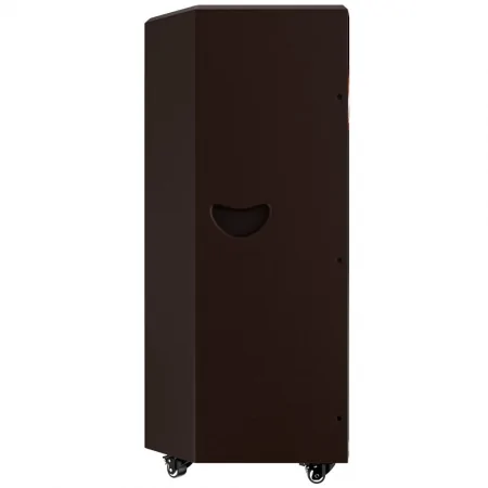 Loa Kéo Điện Dalton 6 Tấc TS-21A2000 5