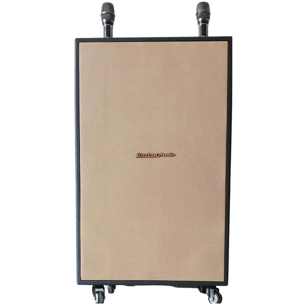 Loa Thùng Kéo BA 6000 VII 1000W