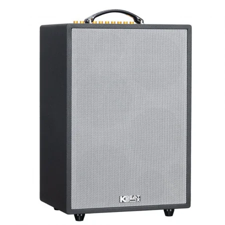 Loa Karaoke Di Động Xách Tay ACNOS SONCAMEDIA ePOP 100 2