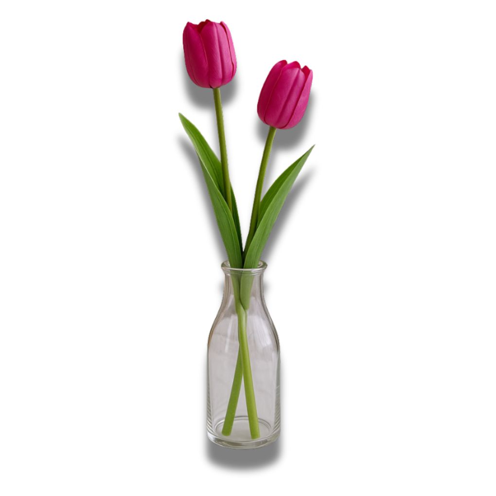 Nh&aacute;nh Hoa Tulip ECOFF10 Hồng đậm