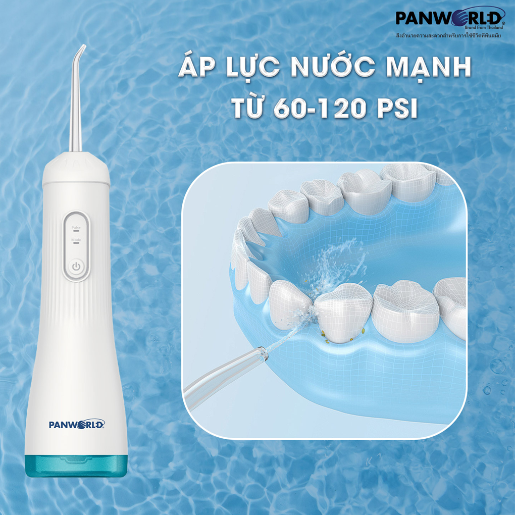 Máy Tăm Nước Panworld PW-3226 8