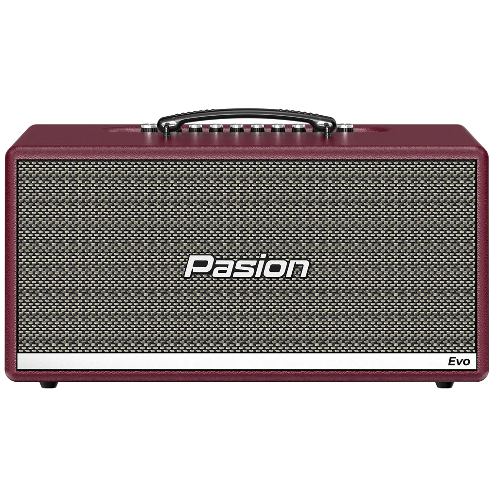 Loa Karaoke Di Động Xách Tay Paramax PASION Evo (Burgundy Leather) 0