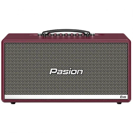 Loa Karaoke Di Động Xách Tay Paramax PASION Evo (Burgundy Leather) 0