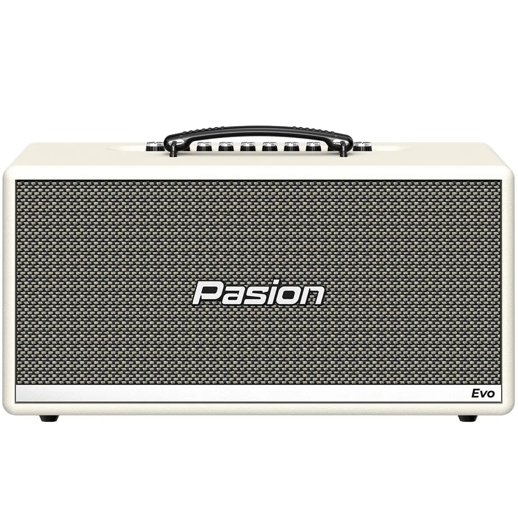 Loa Karaoke Di Động Xách Tay Paramax PASION Evo (Cream Leather) 1