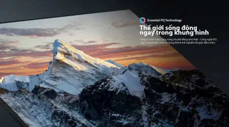 Smart Tivi Toshiba Full HD 43 Inch 43E31RP 5