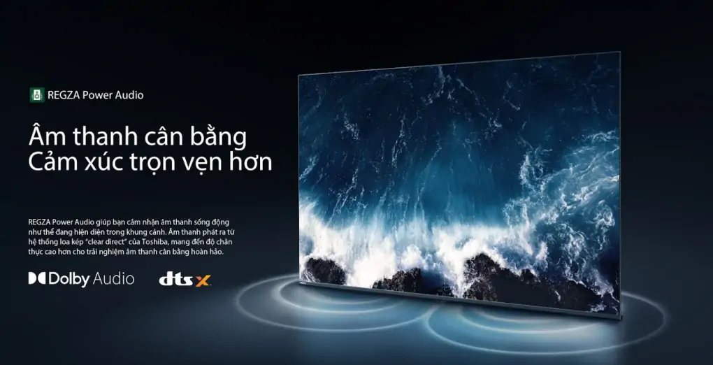 Smart Tivi Toshiba Full HD 43 Inch 43E31RP 6