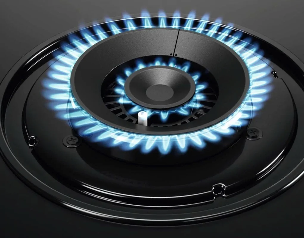 Bếp Ga Âm Electrolux EHG7202BF 3