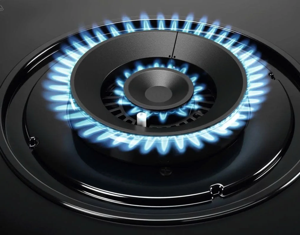 Bếp Ga Âm Electrolux EHG7303BF 1