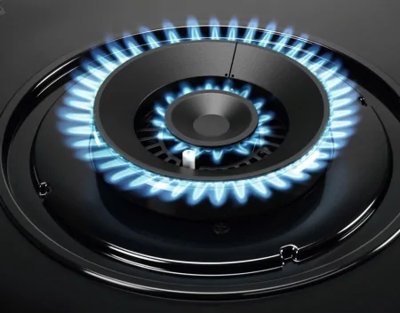 Bếp Ga Âm Electrolux EHG7303BF 1