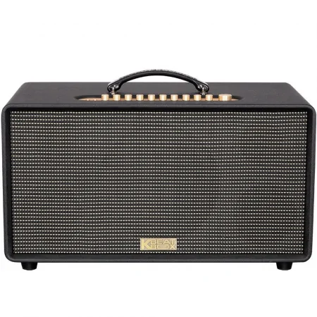 Loa Karaoke Xách Tay Acnos FLAC 36 Ver2 200W 1