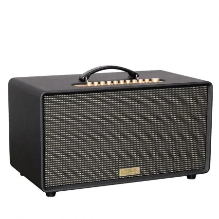 Loa Karaoke Xách Tay Acnos FLAC 36 Ver2 200W 2