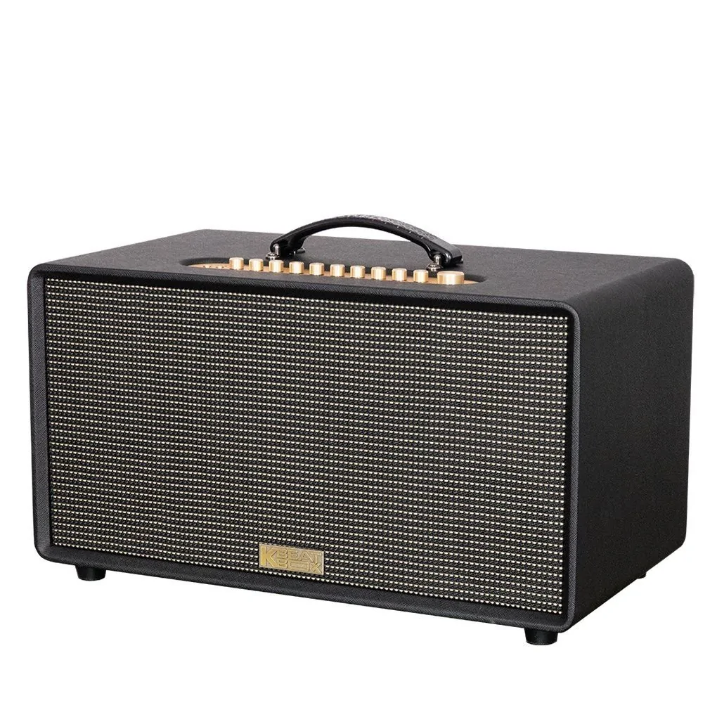 Loa Karaoke Xách Tay Acnos FLAC 36 Ver2 200W 3