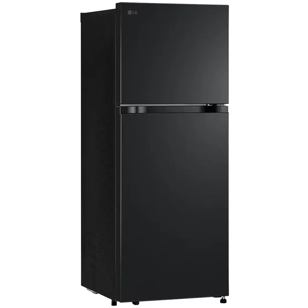 Tủ Lạnh LG Inverter 217 Lít LTB21BLMI 0