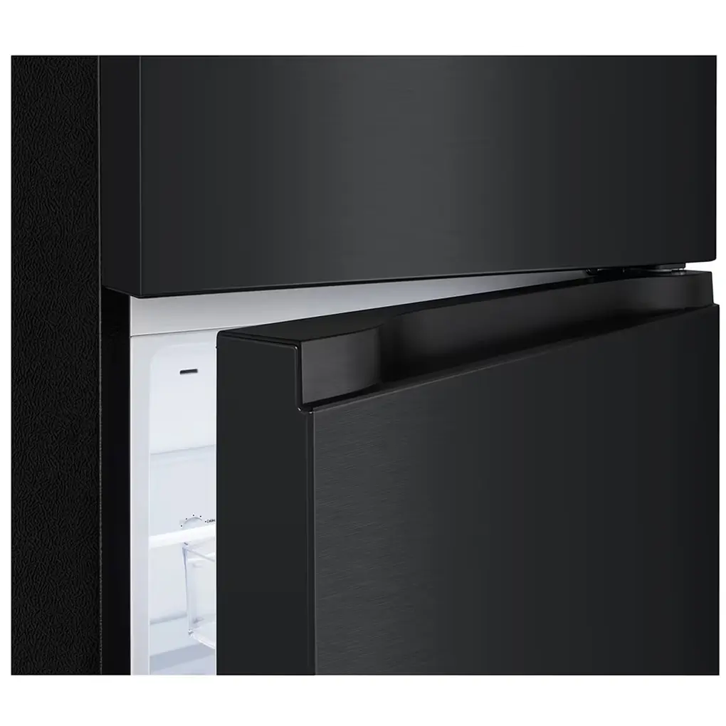 Tủ Lạnh LG Inverter 217 Lít LTB21BLMI 1