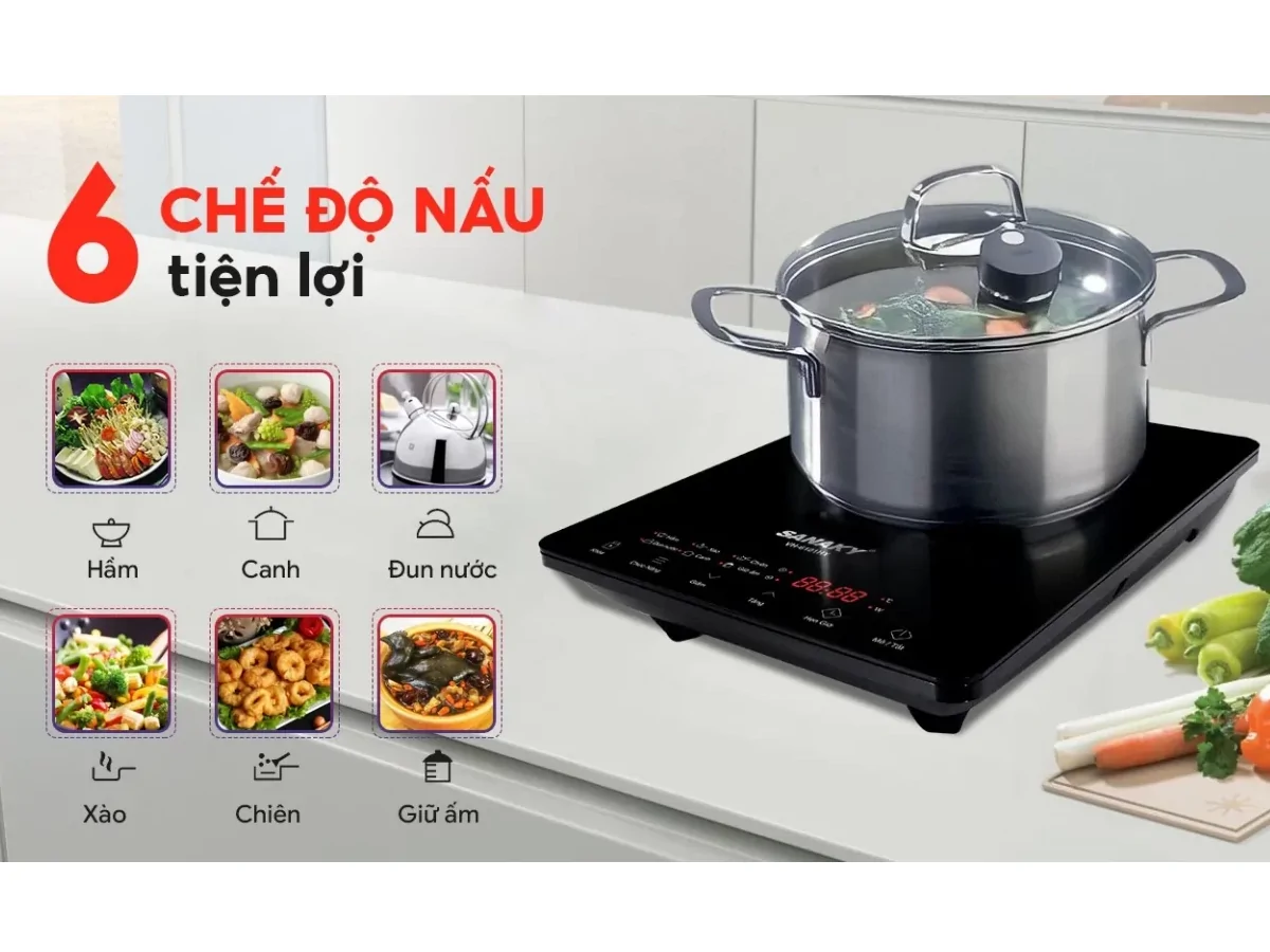 Bếp Điện Từ Đơn Sanaky VH6101HY 6