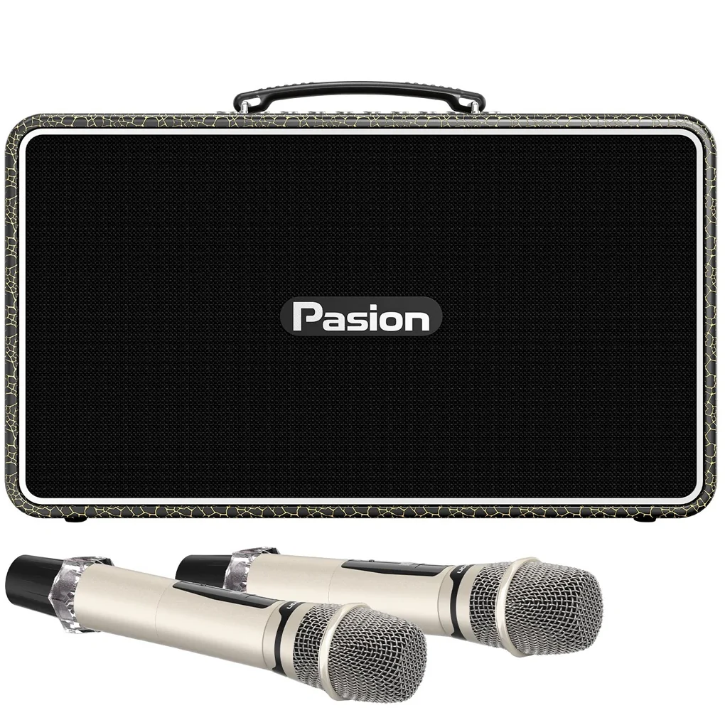 Loa Di Động Xách Tay Paramax PASION Arte (Golden Black) 0