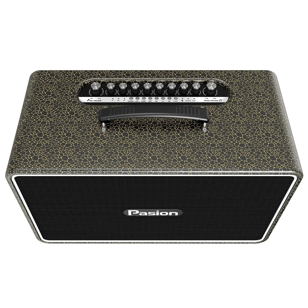 Loa Di Động Xách Tay Paramax PASION Arte (Golden Black) 1