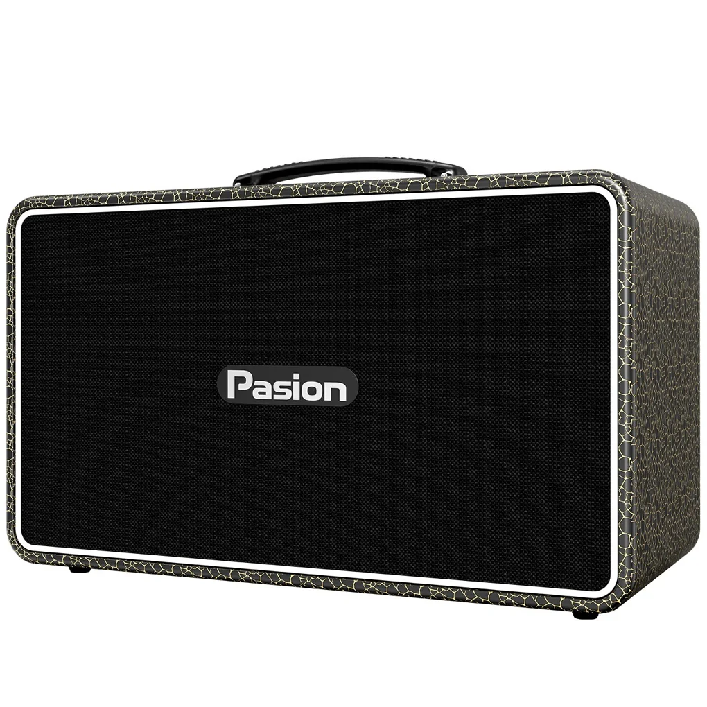 Loa Di Động Xách Tay Paramax PASION Arte (Golden Black) 3