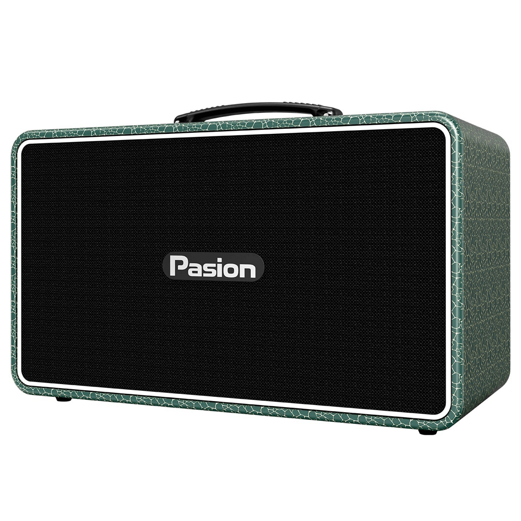 Loa Di Động Xách Tay Paramax PASION Arte (Golden Ocean) 0