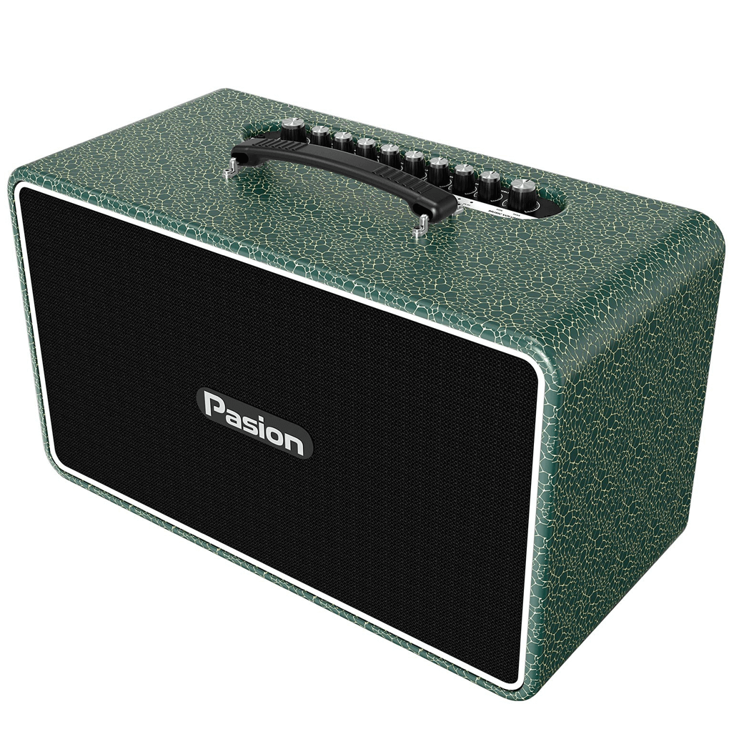 Loa Di Động Xách Tay Paramax PASION Arte (Golden Ocean) 1