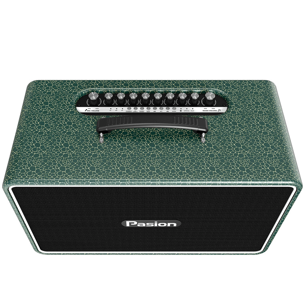 Loa Di Động Xách Tay Paramax PASION Arte (Golden Ocean) 2