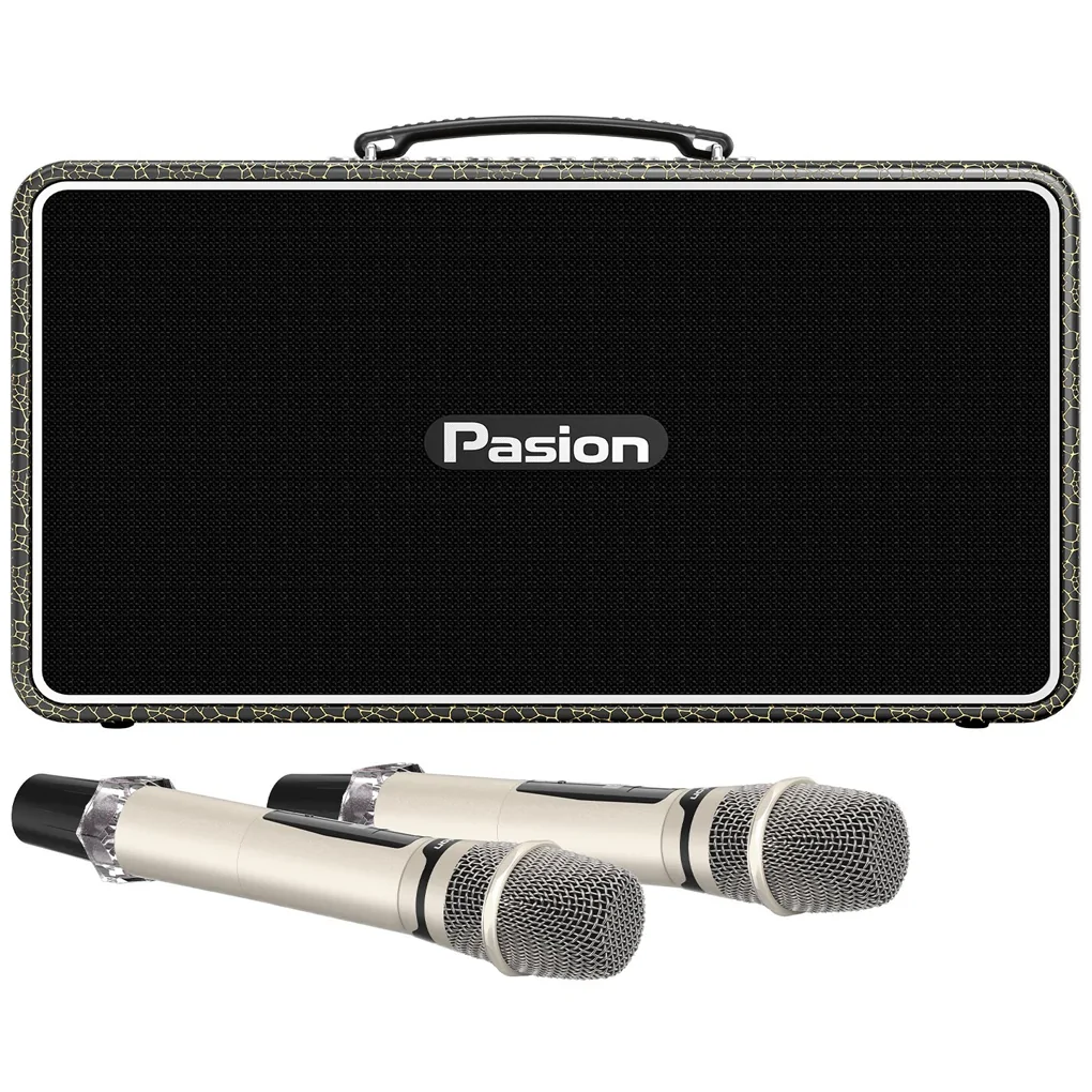 Loa Di Động Xách Tay PASION Arte (Golden Olive)