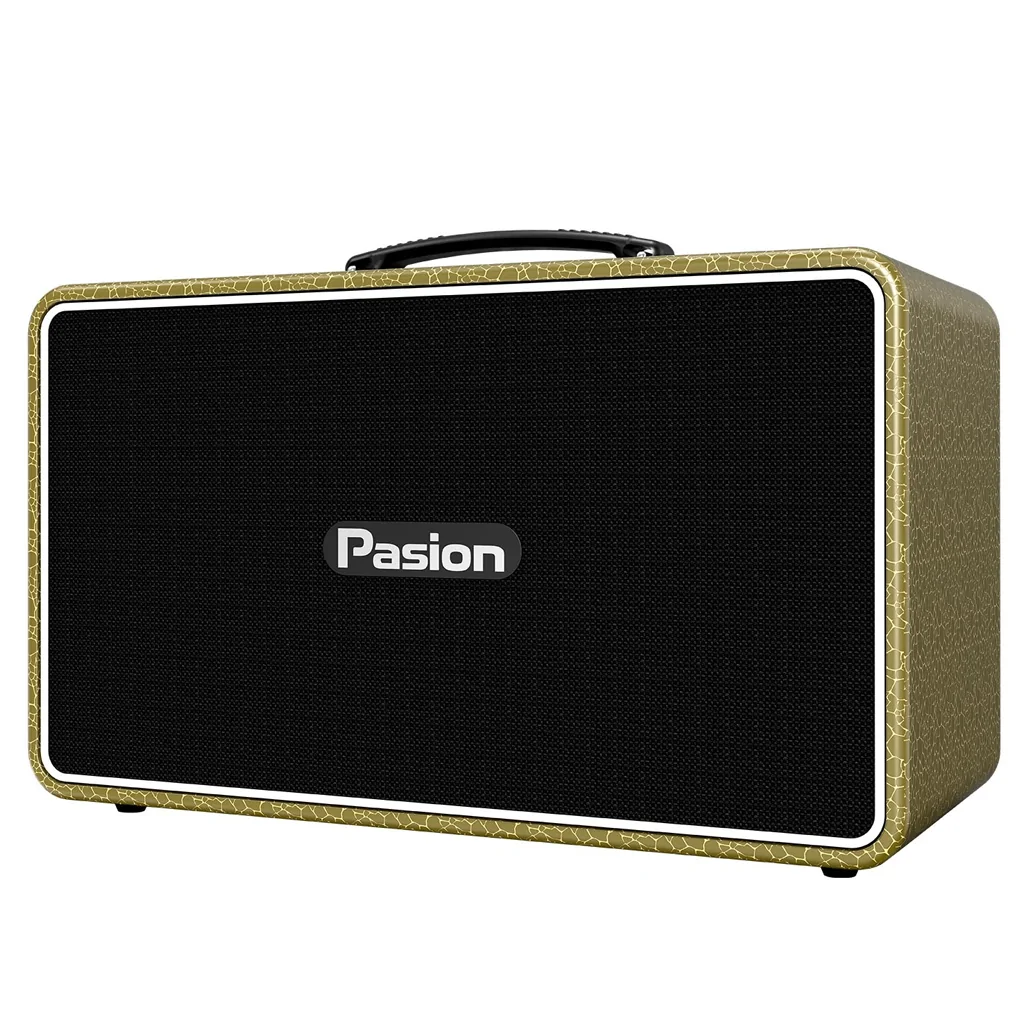 Loa Di Động Xách Tay Paramax PASION Arte (Golden Olive) 0