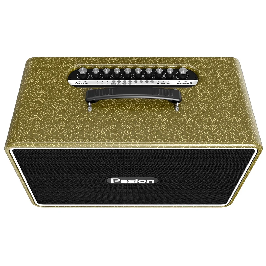 Loa Di Động Xách Tay Paramax PASION Arte (Golden Olive) 1