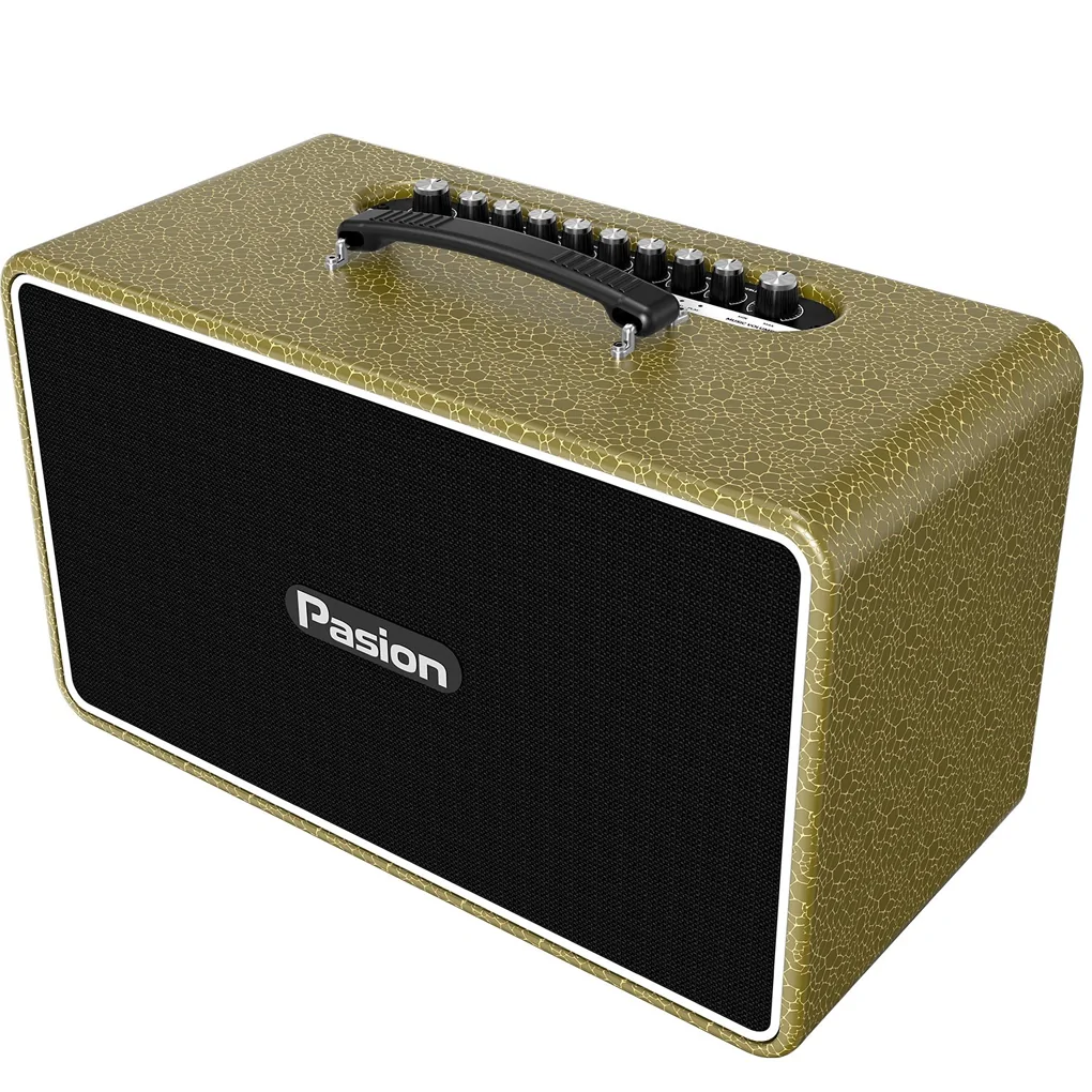 Loa Di Động Xách Tay Paramax PASION Arte (Golden Olive) 2