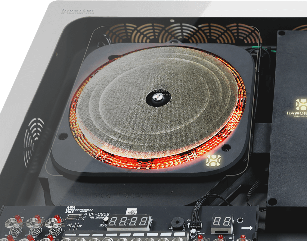 Bếp Đôi Hỗn Hợp Hawonkoo Inverter CEH-263 4800W - Xuất Xứ Thái Lan 15