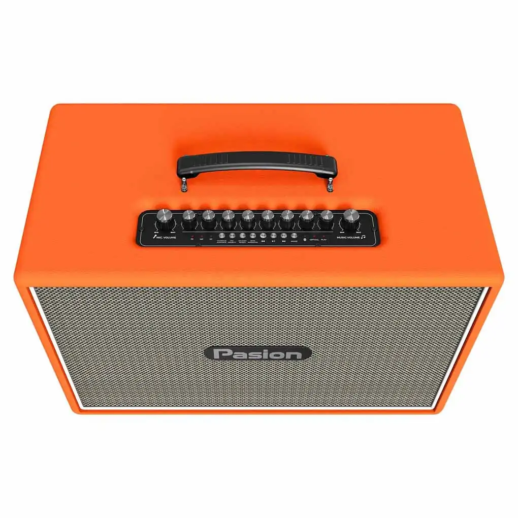 Loa Karaoke Di Động Xách Tay Paramax PASION Outro ( Orange Leather) 1