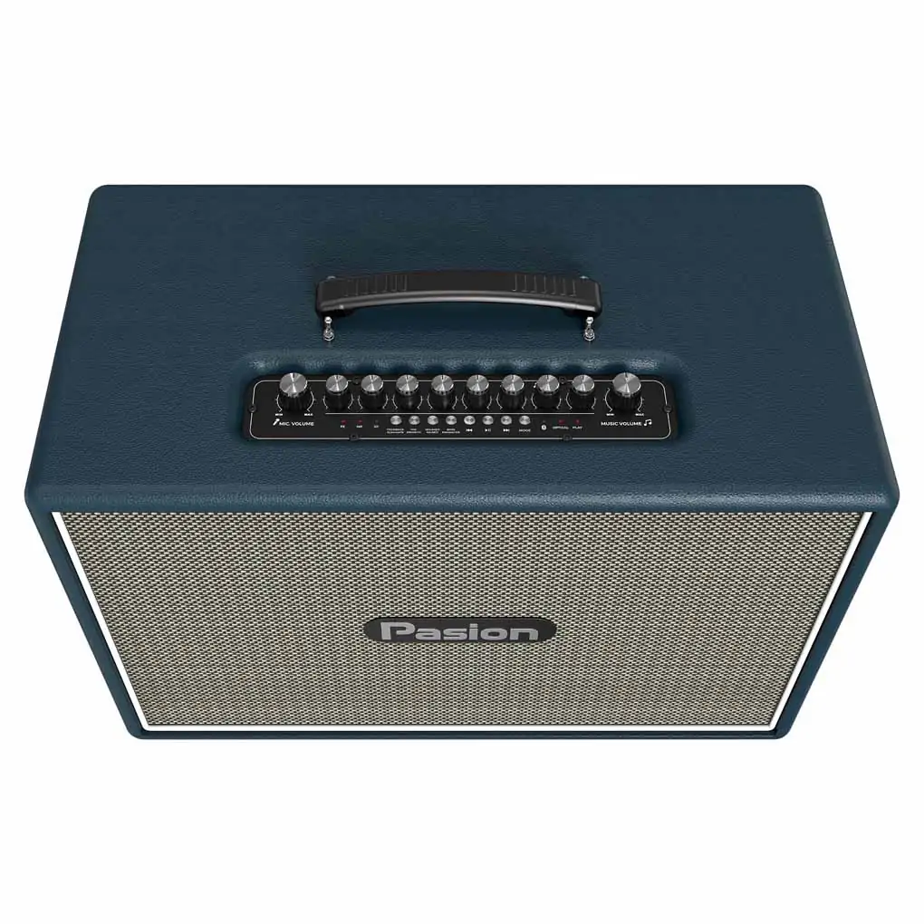 Loa Karaoke Di Động Xách Tay Paramax PASION Outro ( Blue Leather) 1