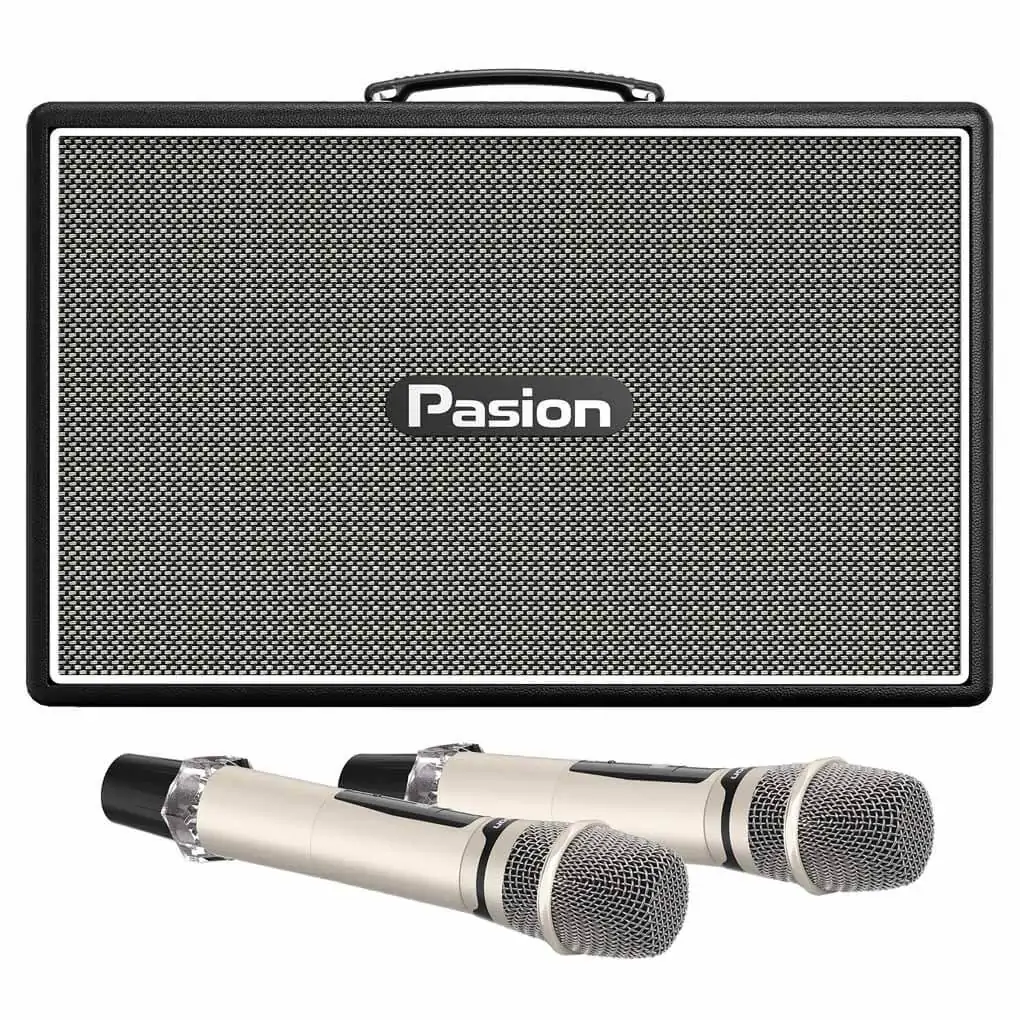 Loa Karaoke Di Động Xách Tay Paramax PASION Outro ( Black Leather)