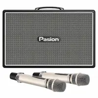 Loa Karaoke Di Động Xách Tay Paramax PASION Outro ( Black Leather)