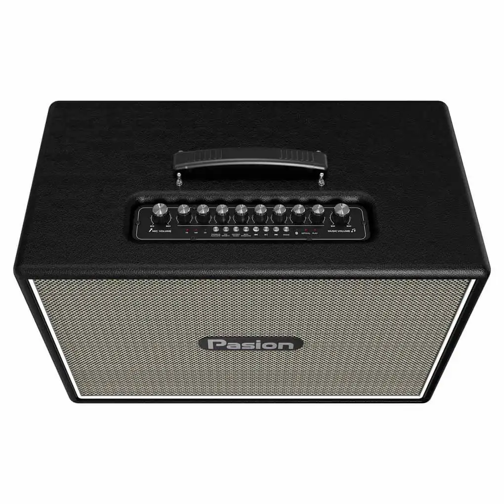 Loa Karaoke Di Động Xách Tay Paramax PASION Outro ( Black Leather) 1