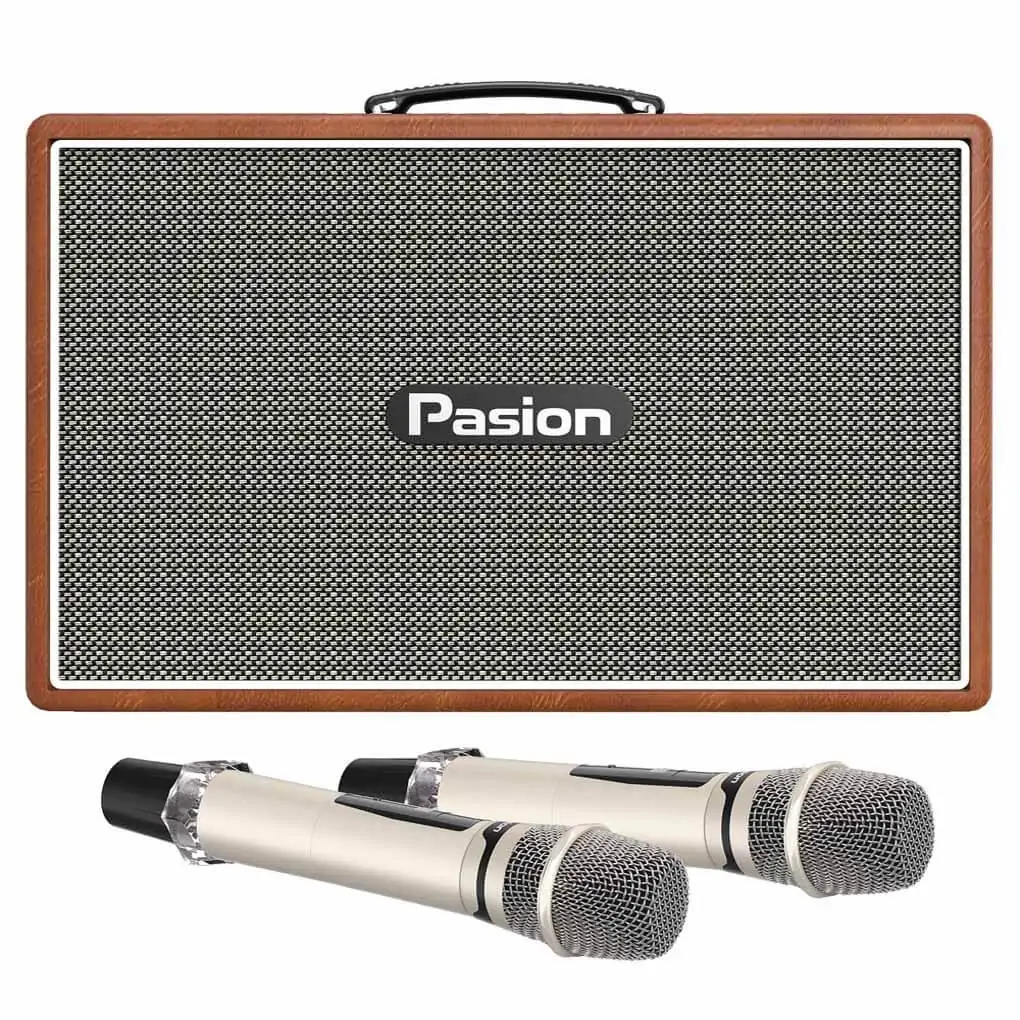 Loa Karaoke Di Động Xách Tay Paramax PASION Outro ( Brown Leather)