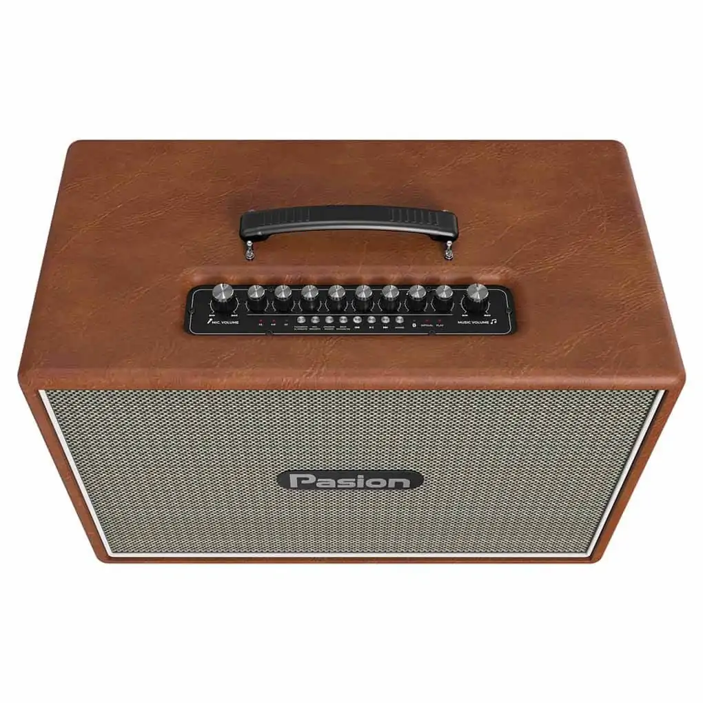 Loa Karaoke Di Động Xách Tay Paramax PASION Outro ( Brown Leather) 0