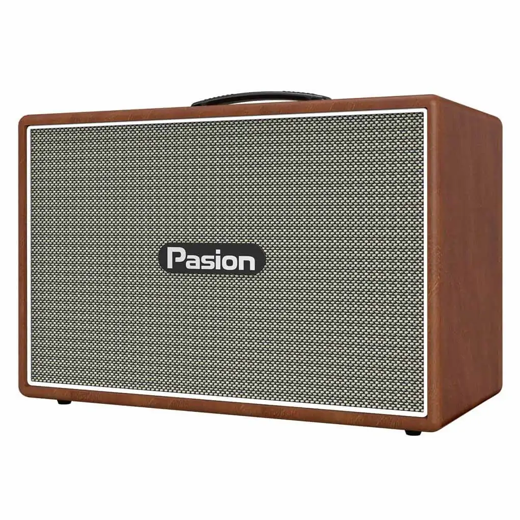 Loa Karaoke Di Động Xách Tay Paramax PASION Outro ( Brown Leather) 1