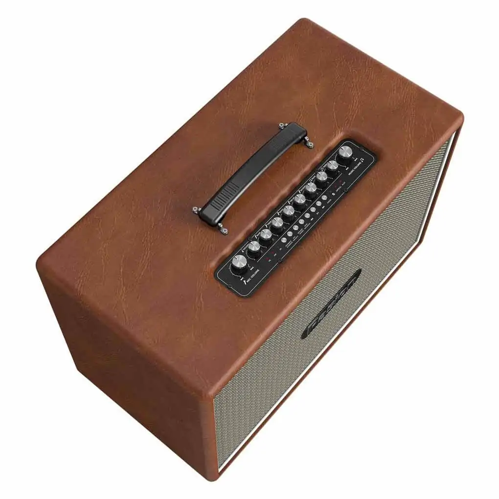 Loa Karaoke Di Động Xách Tay Paramax PASION Outro ( Brown Leather) 2