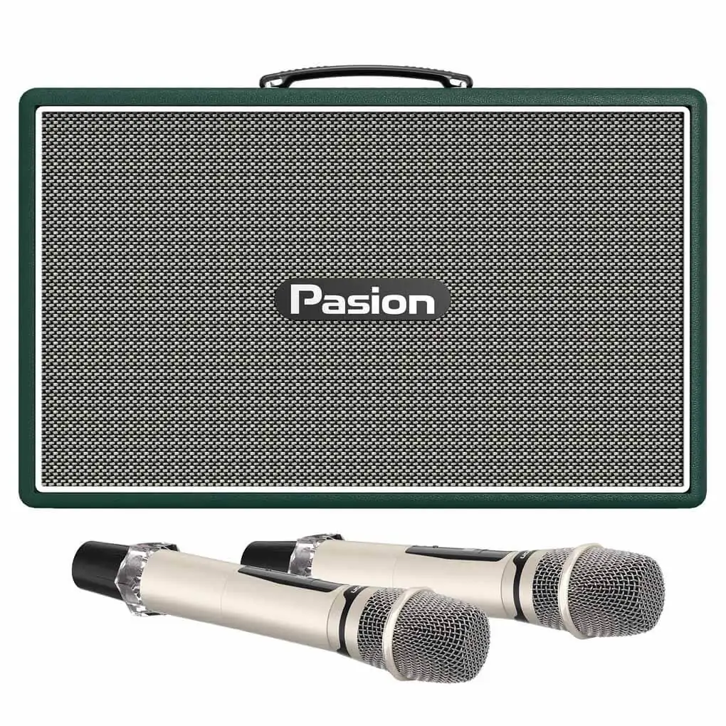 Loa Karaoke Di Động Xách Tay Paramax PASION Outro ( Green Leather)