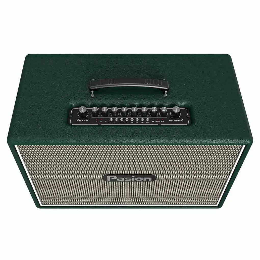 Loa Karaoke Di Động Xách Tay Paramax PASION Outro ( Green Leather) 1