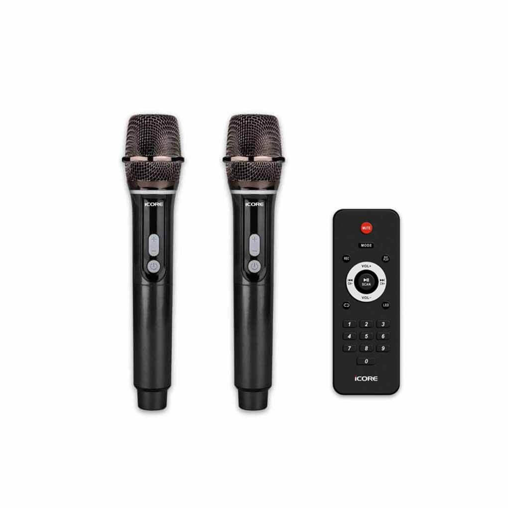 Loa Karaoke Di Động Icore ISM8 4