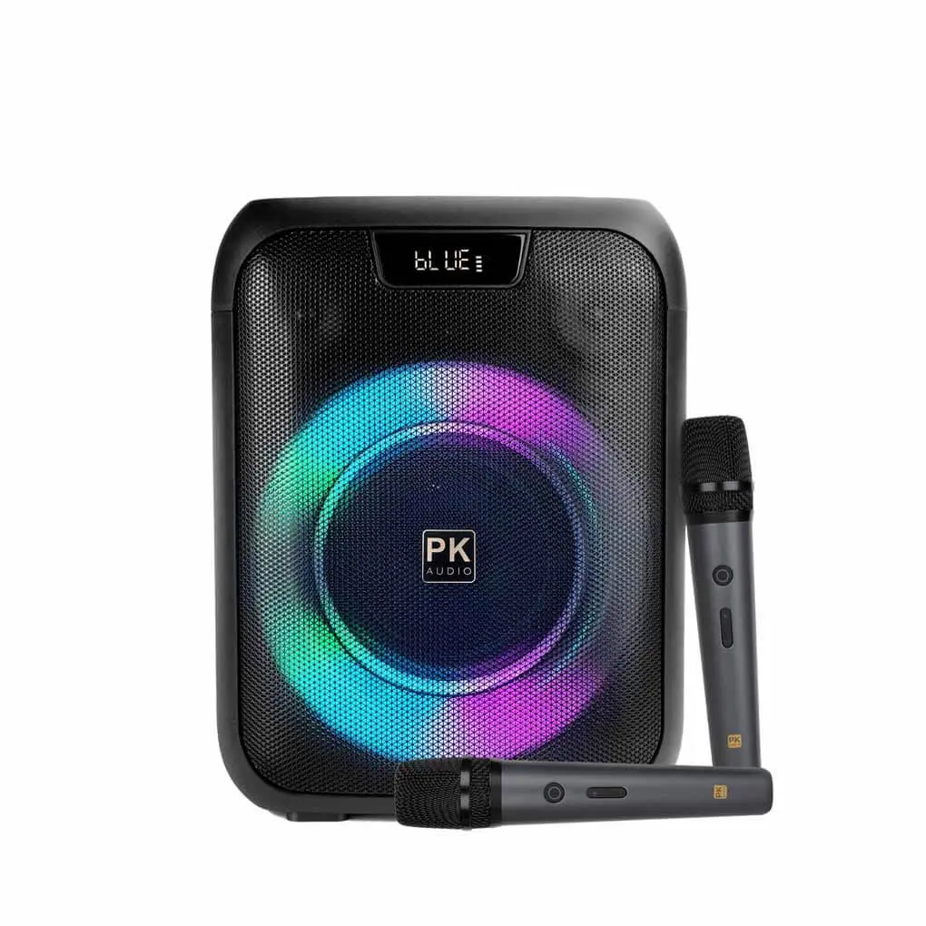 Loa Karaoke Di Động Xách Tay Platinum CX15