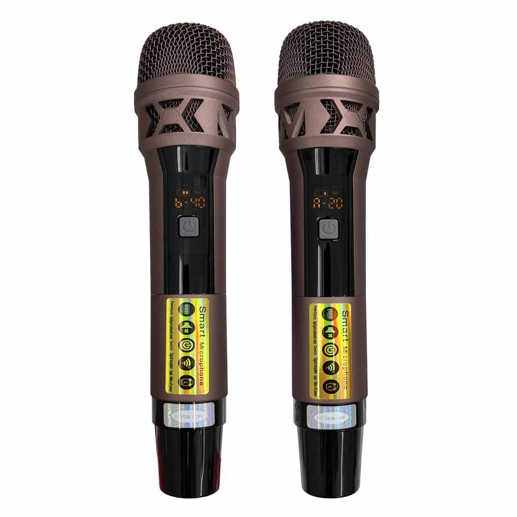 Loa Karaoke Xách Tay Bossinon K25 Pro 3