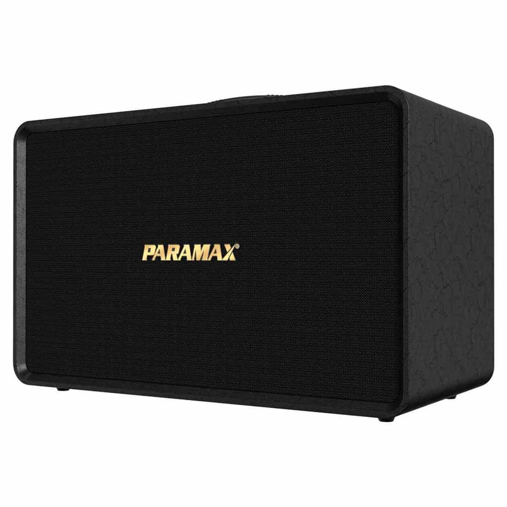 Loa Karaoke Xách Tay Paramax Symbo 8 1