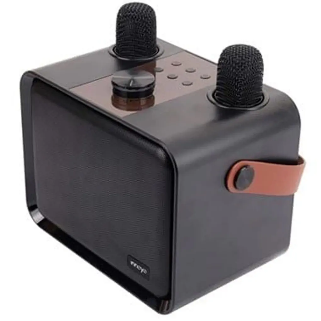 Loa Bluetooth INNOYO Đen