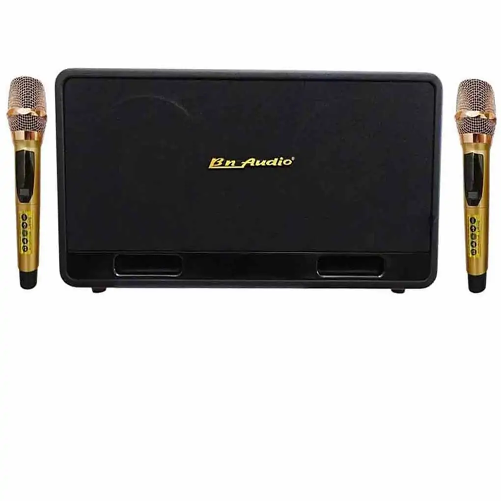 Loa Karaoke Xách Tay BN Audio BA 5500 VII